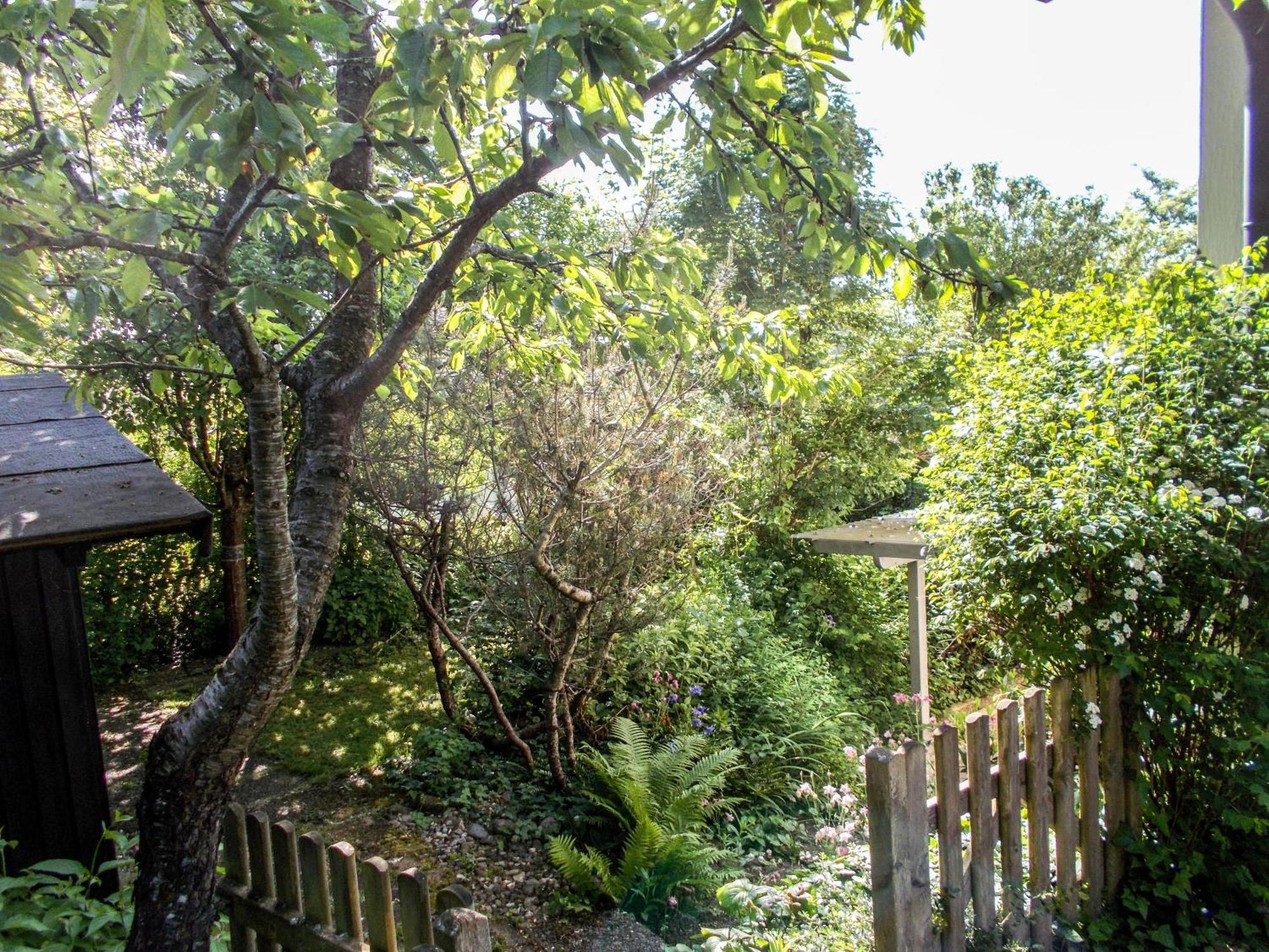 Im Herzen Der Natur Herdwangen-Schönach Buitenkant foto